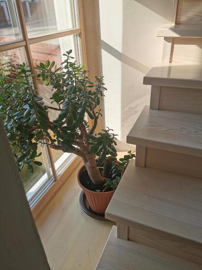 9 Min From Palanga! Luxury House On The River And Sauna Kretinga Dış mekan fotoğraf